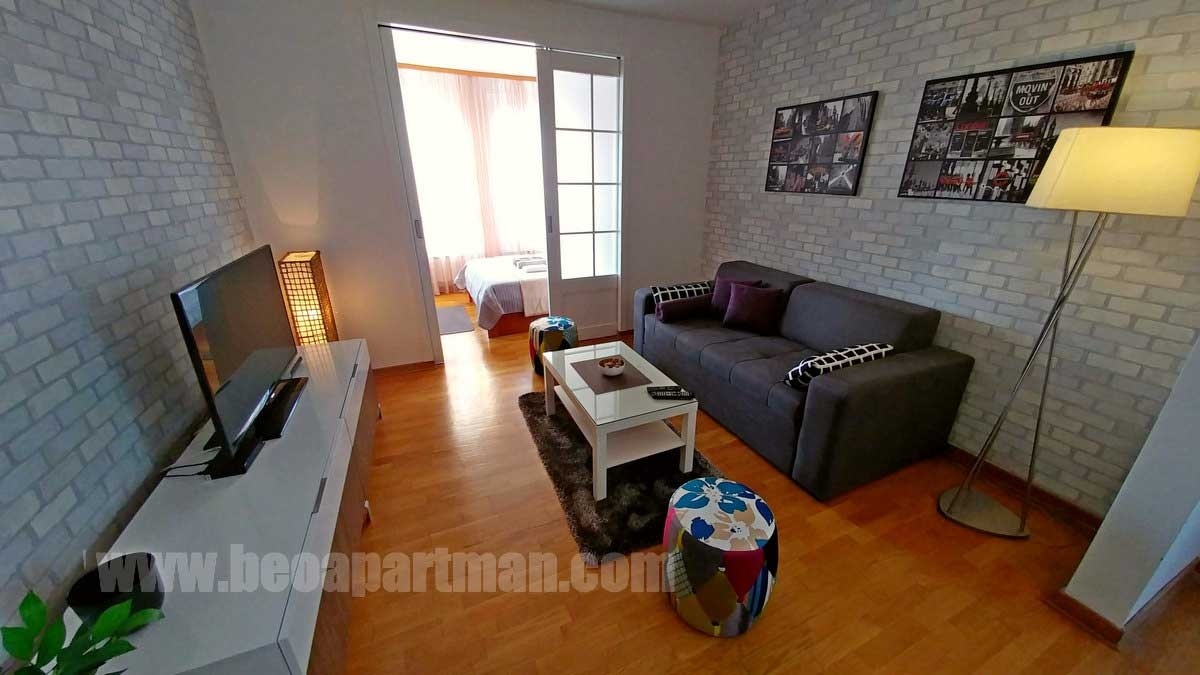 2-trim-apartman-beograd-dnevni-boravak